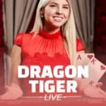 dragon tiger